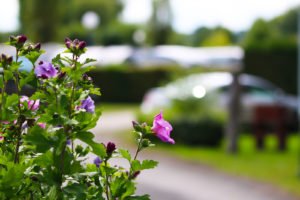 Emplacement camping à Deauville