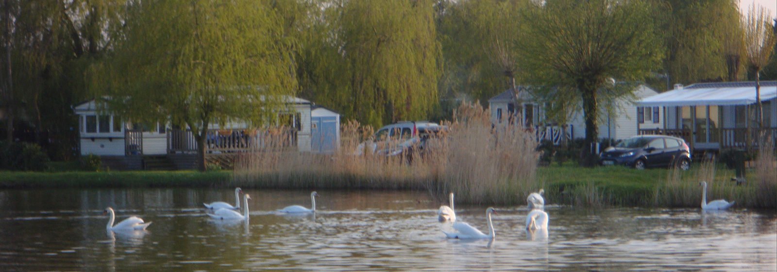 Camping Deauville au bord d'un étang